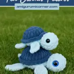 Baby Turtle