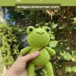 Amigurumi Frog Pattern