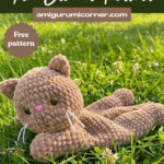 Cat Snuggler Pattern