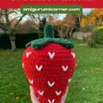Strawberry Pillow Pattern
