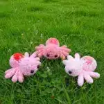 Valentine Spider Crochet Pattern