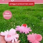 Valentine Spider Crochet Pattern