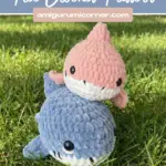cute shark amigurumi