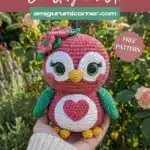 Valentine’s Owl Crochet Pattern
