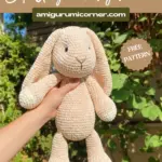 Velvet Crochet Bunny